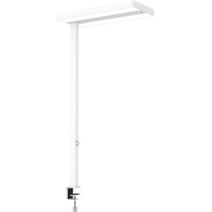 MAUL LED-Tischleuchte MAULjuvis 8258702 Bewegung-/Lichtsensor, dim.