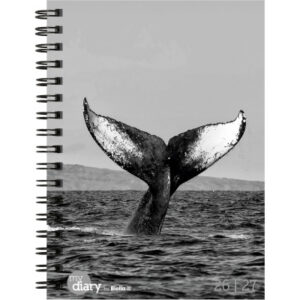 BIELLA Schüleragenda Whale 26/27 17860027U 1W/2S 12x16.5cm