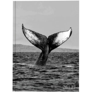 BIELLA Schüleragenda Whale 26/27 44860027U 1T/1S 12x16.5cm