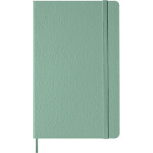 MOLESKINE Notizbuch Classic L/A5 999279080 liniert, salbeigrün