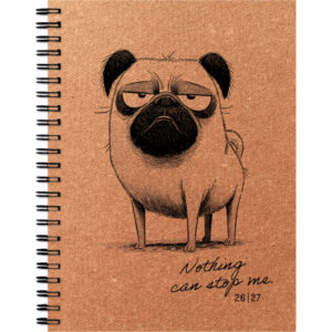 SIMPLEX Schüleragenda Leather 26/27 500404.27 1W/2S 17M BadMood ML 12x16.5cm