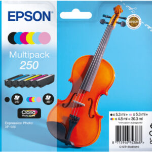 EPSON Multipack Tinte 250 6-color T16N84010 XP 980 6x360 Seiten