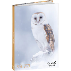 QUO-VADIS Eurotextagenda Eule 26/27 1282698Q 1T/1S 12M ML 12x17cm