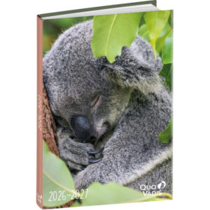 QUO-VADIS Eurotextagenda Koala 26/27 1282705Q 1T/1S 12M ML 12x17cm