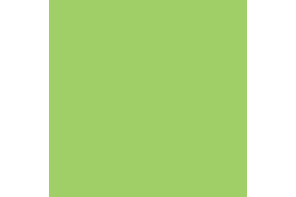 RAINBOW Papier grün/76 A4 88042652 80g, grün 500 Blatt – Bild 3