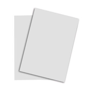 RAINBOW Papier hellgrau/93 A4 88042784 hellgrau, 80g 500 Blatt