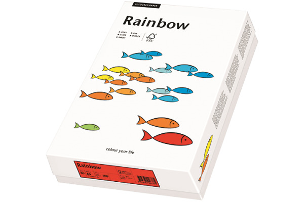 RAINBOW Papier chamois/06 A4 88043096 120g, chamois 250 Blatt – Bild 2