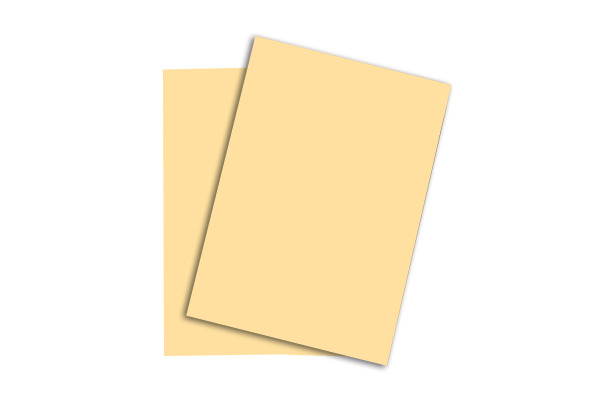 RAINBOW Papier chamois/06 A4 88043096 120g, chamois 250 Blatt