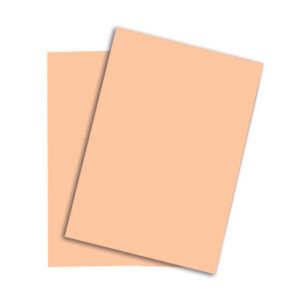RAINBOW Papier lachs/40 A4 88043133 160g, lachs 250 Blatt