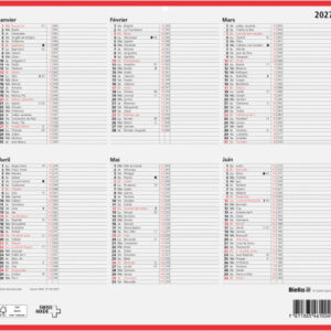 BIELLA Wandkalender 2027 871006910 6M/1S rot/weiss FR 32x29.7cm