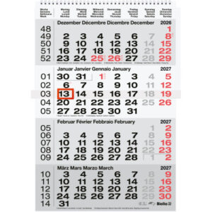 BIELLA    4-Monatskalender Wire-O   2027 889040000 4M/1S grau ML          31x47cm