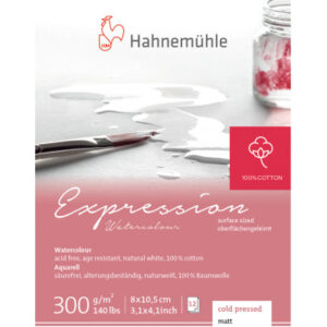 HAHNEMÜHL Miniblock Expression 8.x10.5cm 10628664 weiss, 300g 12 Blatt