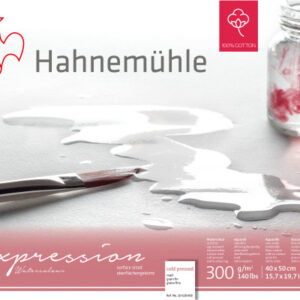 HAHNEMÜHL Aquarellbl. Expression 40x50cm 10628668  weiss, 300g           20 Blatt