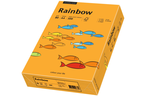 RAINBOW Papier orange/24 A4 88042431 FSC, 80g 500 Blatt