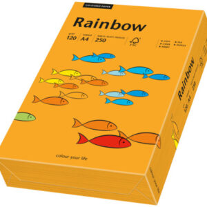RAINBOW Papier orange/24 A4 88042436 FSC, 120g 250 Blatt