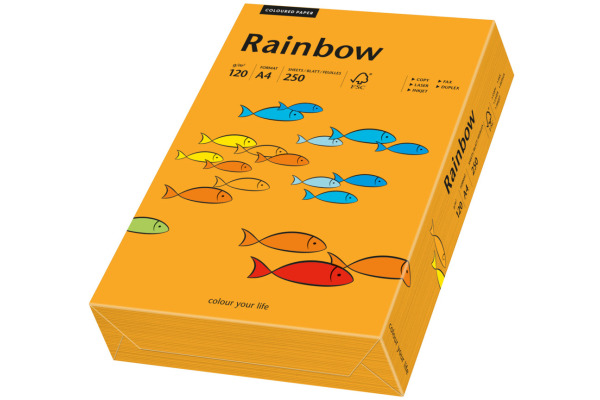 RAINBOW Papier orange/24 A4 88042436 FSC, 120g 250 Blatt