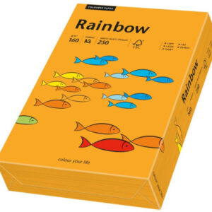 RAINBOW Papier orange/24 A3 88042440 FSC, 160g 250 Blatt