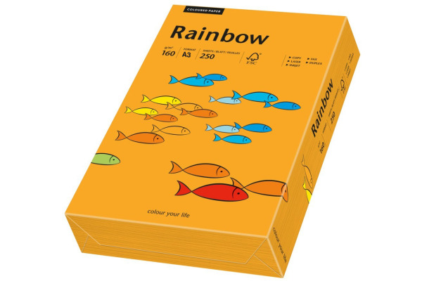 RAINBOW Papier orange/24 A3 88042440 FSC, 160g 250 Blatt