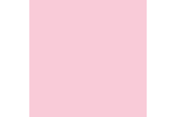 RAINBOW Papier hellrosa/54 A4 88042524 FSC, 120g 250 Blatt – Bild 2