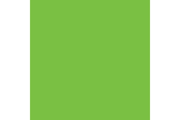 RAINBOW Papier intensivgrün/78 A4 88042673 FSC, 80g 500 Blatt – Bild 2