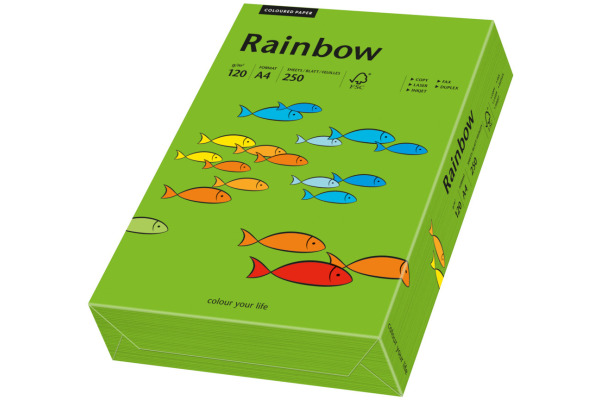 RAINBOW Papier intensivgrün/78 A4 88042678 FSC, 120g 250 Blatt