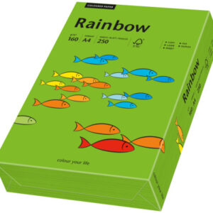 RAINBOW Papier intensivgrün/78 A4 88042681 FSC, 160g 250 Blatt