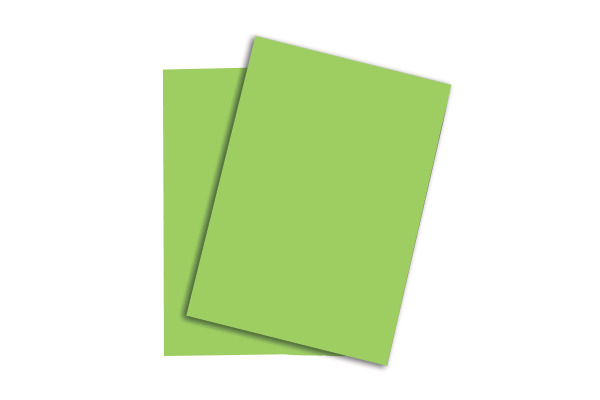 RAINBOW Papier grün/76 A4 88043140 160g, grün 250 Blatt