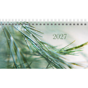 RIDOIDE Pultkalender Design Line 2027 703631103 1W/2S Greeny DE 29.7x10.5cm