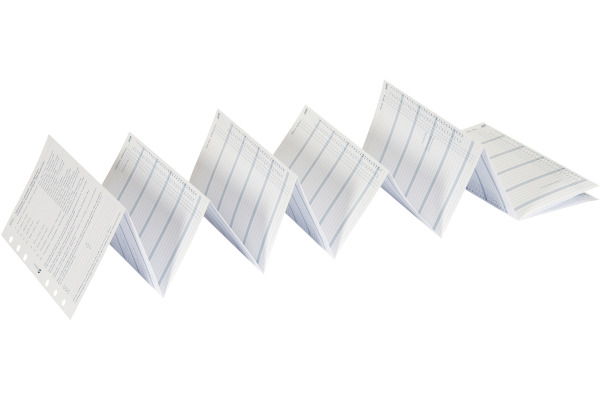 SUCCES Agenda Standard Jahrespl. 2028 843159000 6M/1S gefalzt 9.5x17.1cm