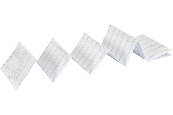 SUCCES Agenda Senior Jahrespl. 2028 845159000 6M/1S gefalzt 9.5x15cm