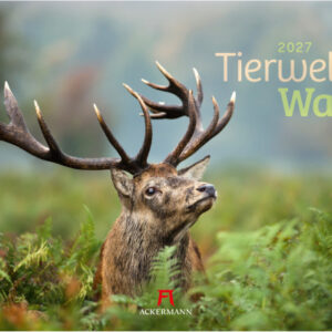 ACKERMANN Bildkalender              2027 2782      Tierwelt Wald D        45x33cm
