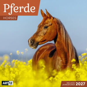 ACKERMANN Bildkalender 2027 4721 Pferde ML 30x30cm