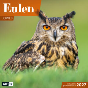 ACKERMANN Bildkalender 2027 4724 Eulen ML 30x30cm