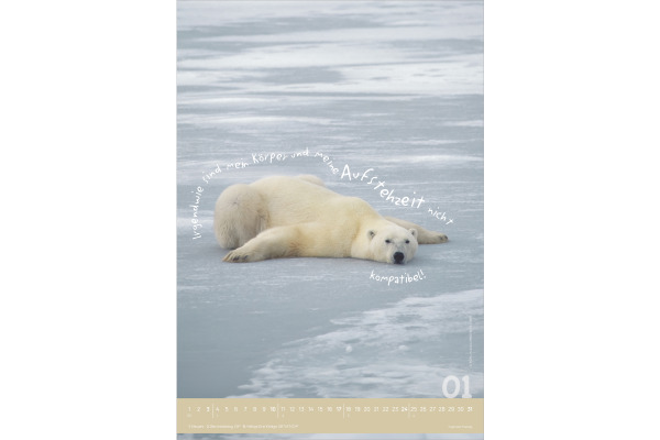 ALPHA EDI Bildkalender 2027 161034 Tierisch cool! DE 23.7x34cm – Bild 2