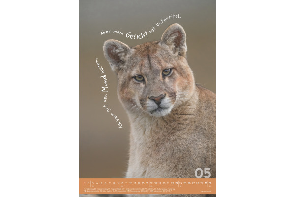 ALPHA EDI Bildkalender 2027 161034 Tierisch cool! DE 23.7x34cm – Bild 4