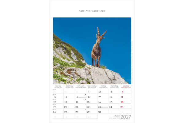 ALPHA EDI Bildkalender 2027 161039 Alpen 23.7x34cm – Bild 3