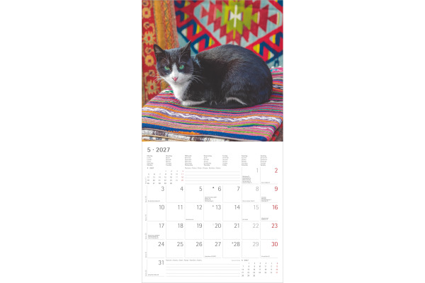 ALPHA EDI Bildkalender 2027 161056 Katzen ML 30x30cm – Bild 3