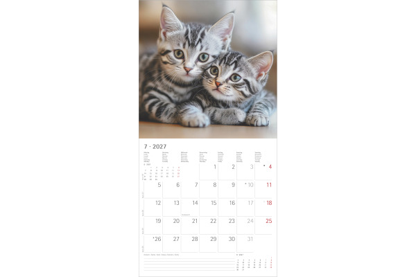 ALPHA EDI Bildkalender 2027 161056 Katzen ML 30x30cm – Bild 4