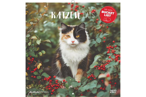 ALPHA EDI Bildkalender 2027 161056 Katzen ML 30x30cm
