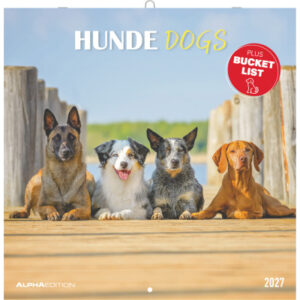 ALPHA EDI Bildkalender 2027 161058 Hunde ML 30x30cm