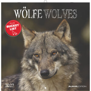 ALPHA EDI Bildkalender 2027 161061 Wölfe ML 30x30cm