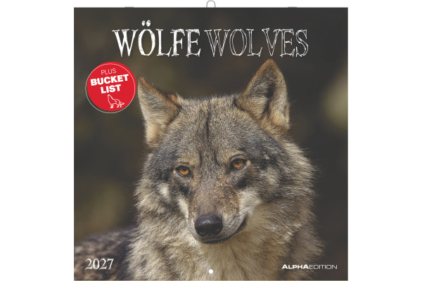 ALPHA EDI Bildkalender 2027 161061 Wölfe ML 30x30cm