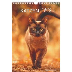 ALPHA EDI Bildkalender 2027 161212 Katzen ML 23.7x34cm
