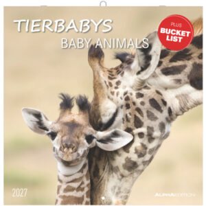 ALPHA EDI Bildkalender 2027 161887 Tierbabys ML 30x30cm