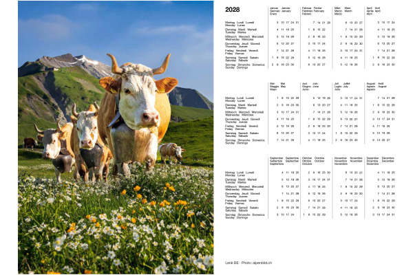 CALENDARI Agenda Photo-Almanach 2027 36205731 1W/1S ML A5 – Bild 4