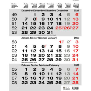 CALENDARI 3-Monats-Wandkalender 2027 36205793 grau 31x40cm