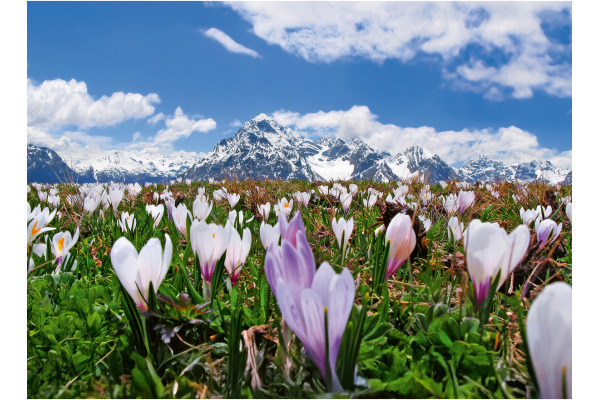 CALENDARI Bildkalender 2027 36205823 Engadin ML 40x31cm – Bild 2