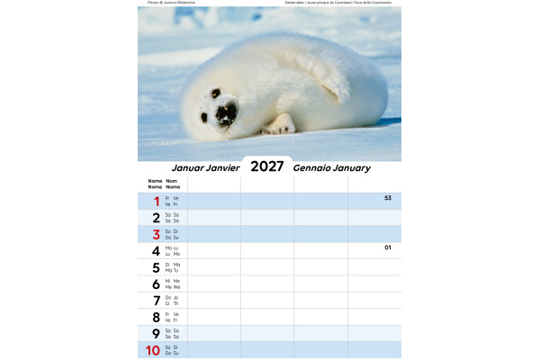 CALENDARI Familienplaner 2027 36205861 mit Tieren ML 21x27.9cm – Bild 2