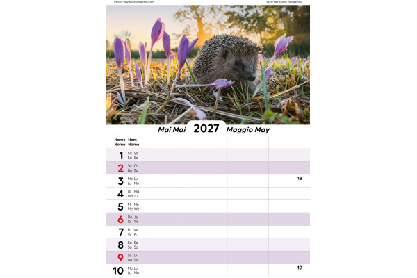 CALENDARI Familienplaner 2027 36205861 mit Tieren ML 21x27.9cm – Bild 3