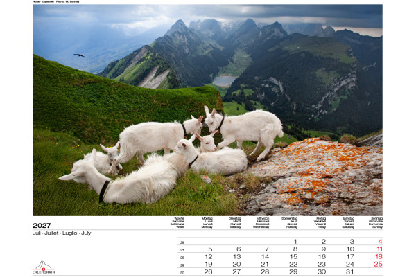 CALENDARI Bildkalender 2027 36205915 Swiss Panorama ML 40x31cm – Bild 4